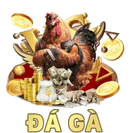 Quyền chỉnh sửa dữ liệu tại gold88 nhà cái